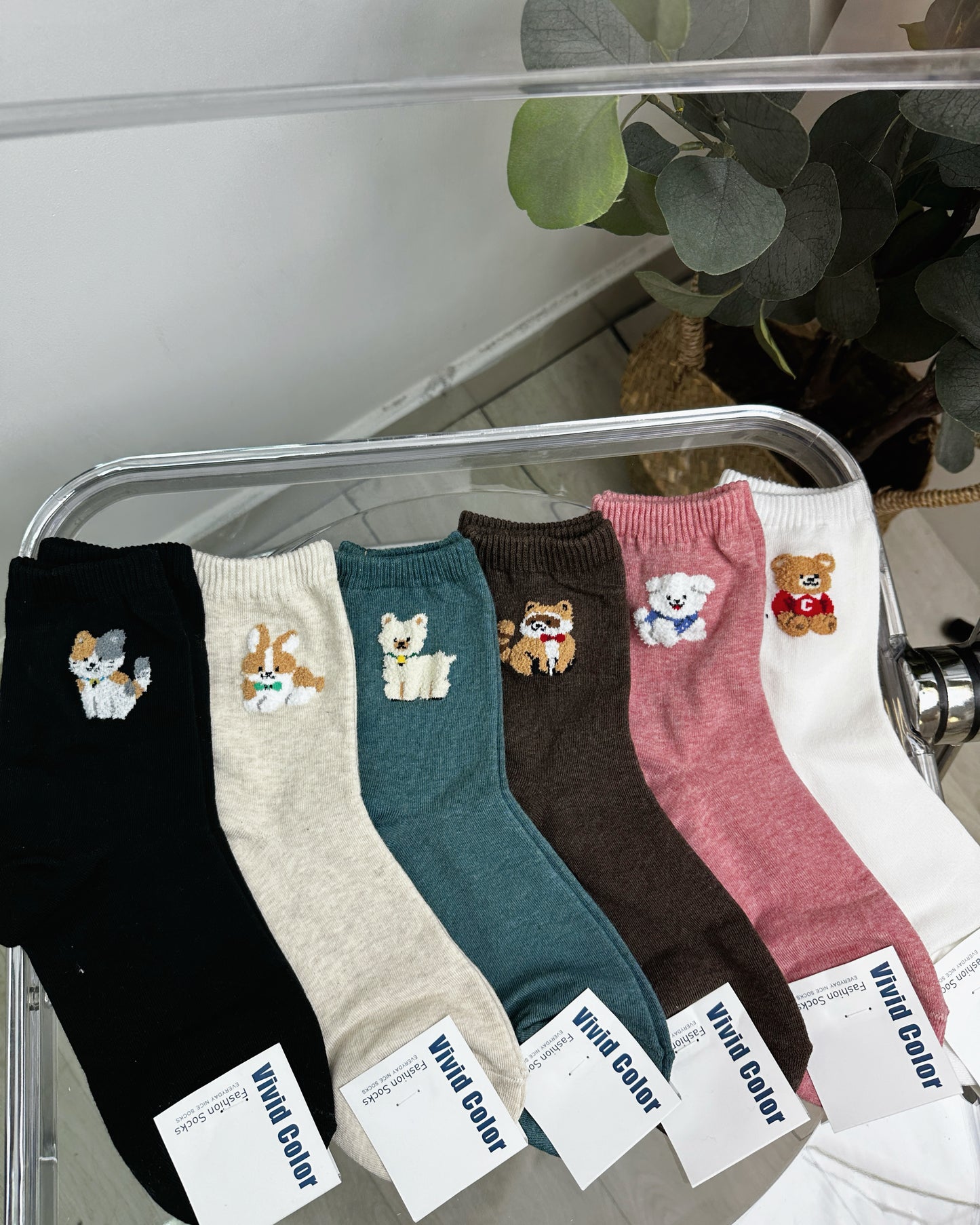 現貨💜韓國動物襪(一套6對)